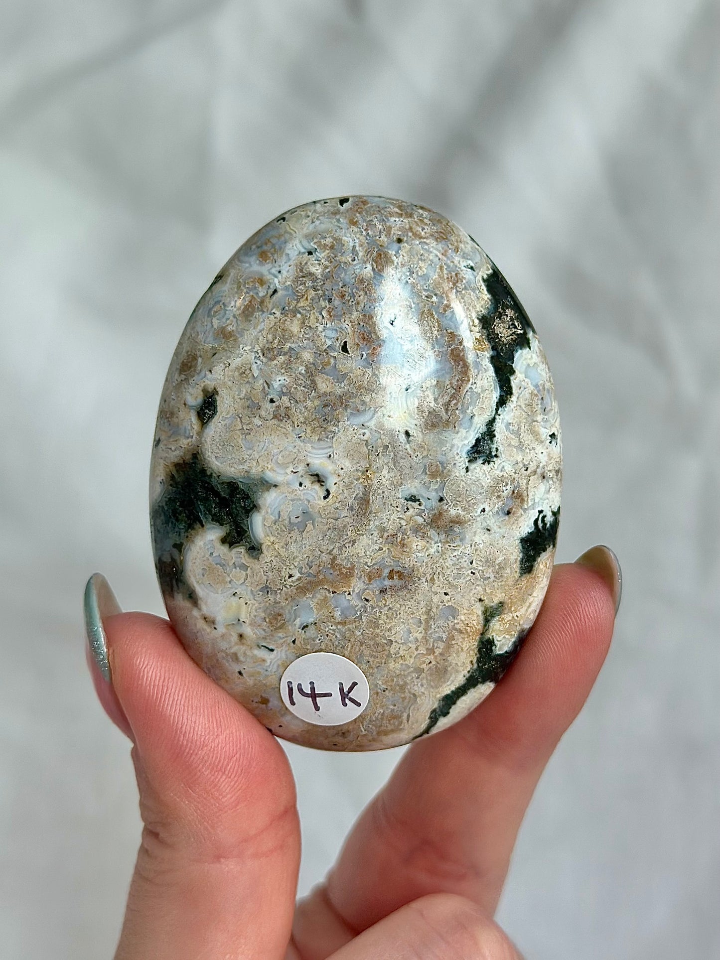 Ocean Jasper Palm