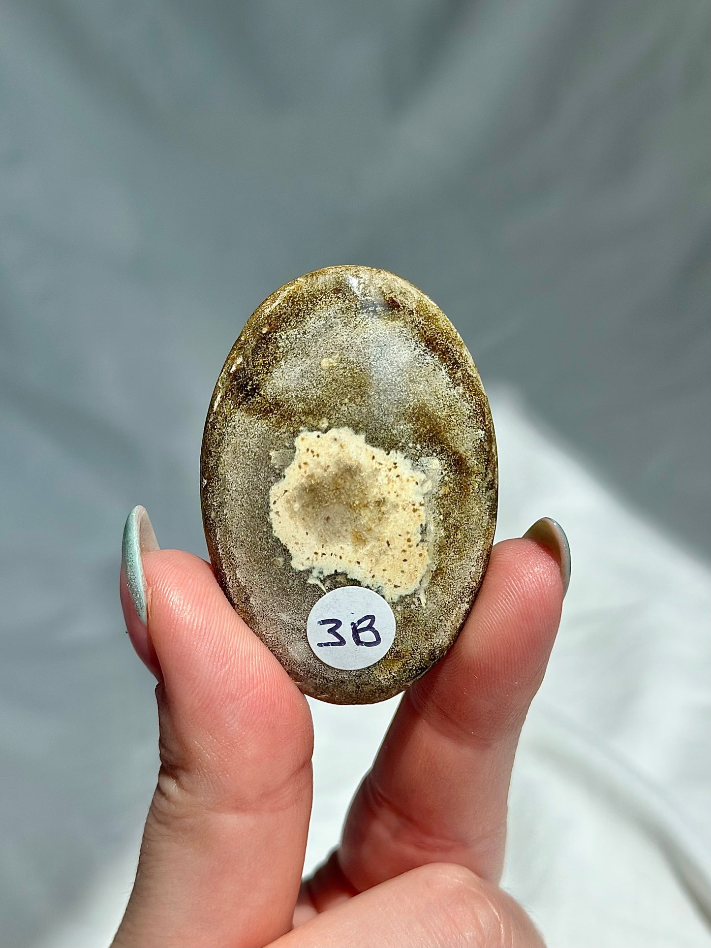 Ocean Jasper Palm
