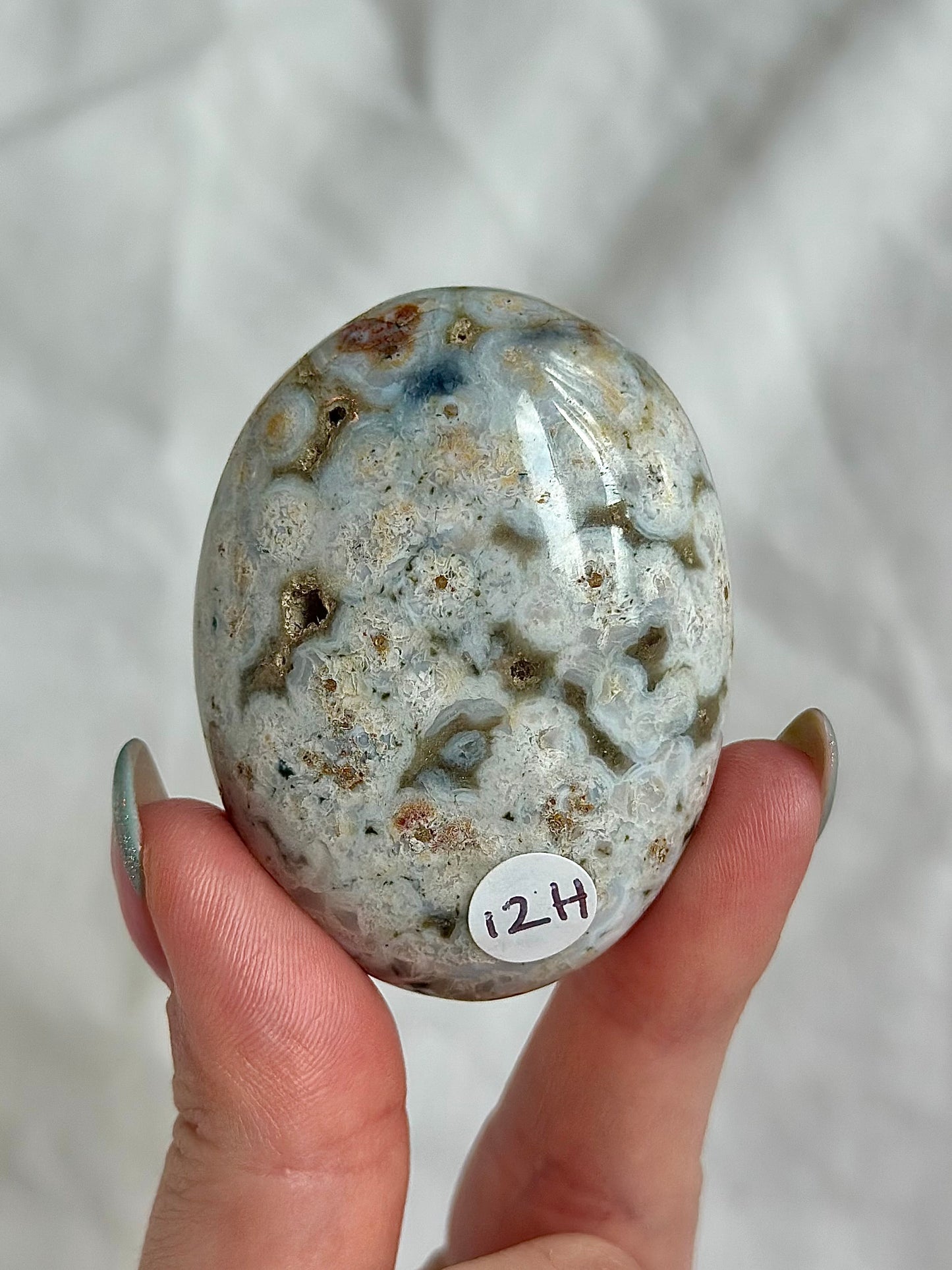 Ocean Jasper Palm