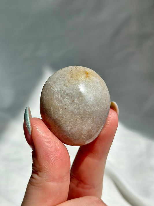 Ocean Jasper Palm