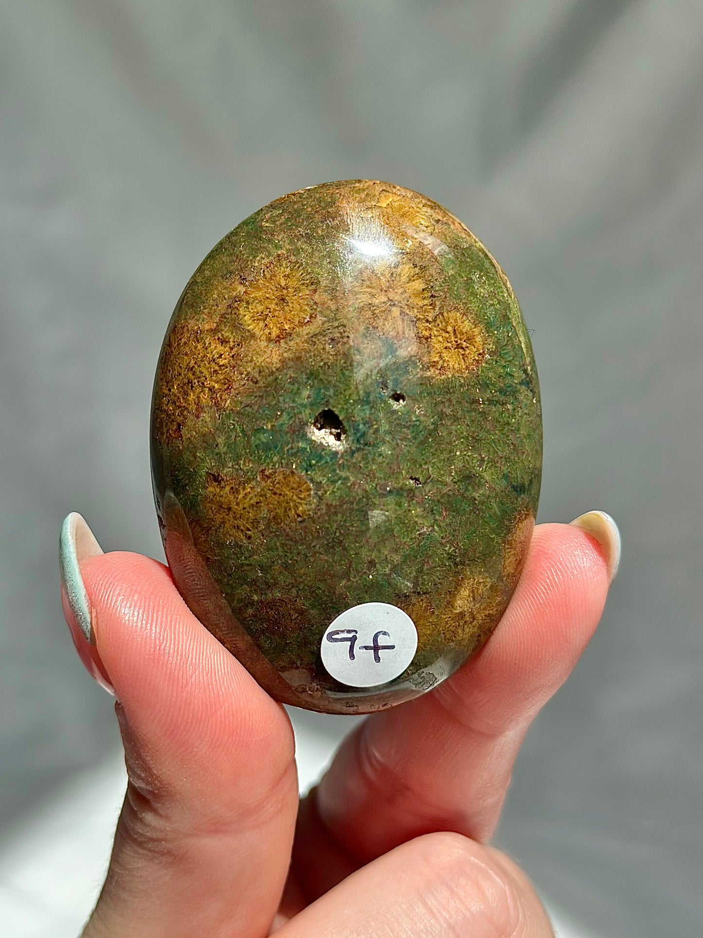 Ocean Jasper Palm