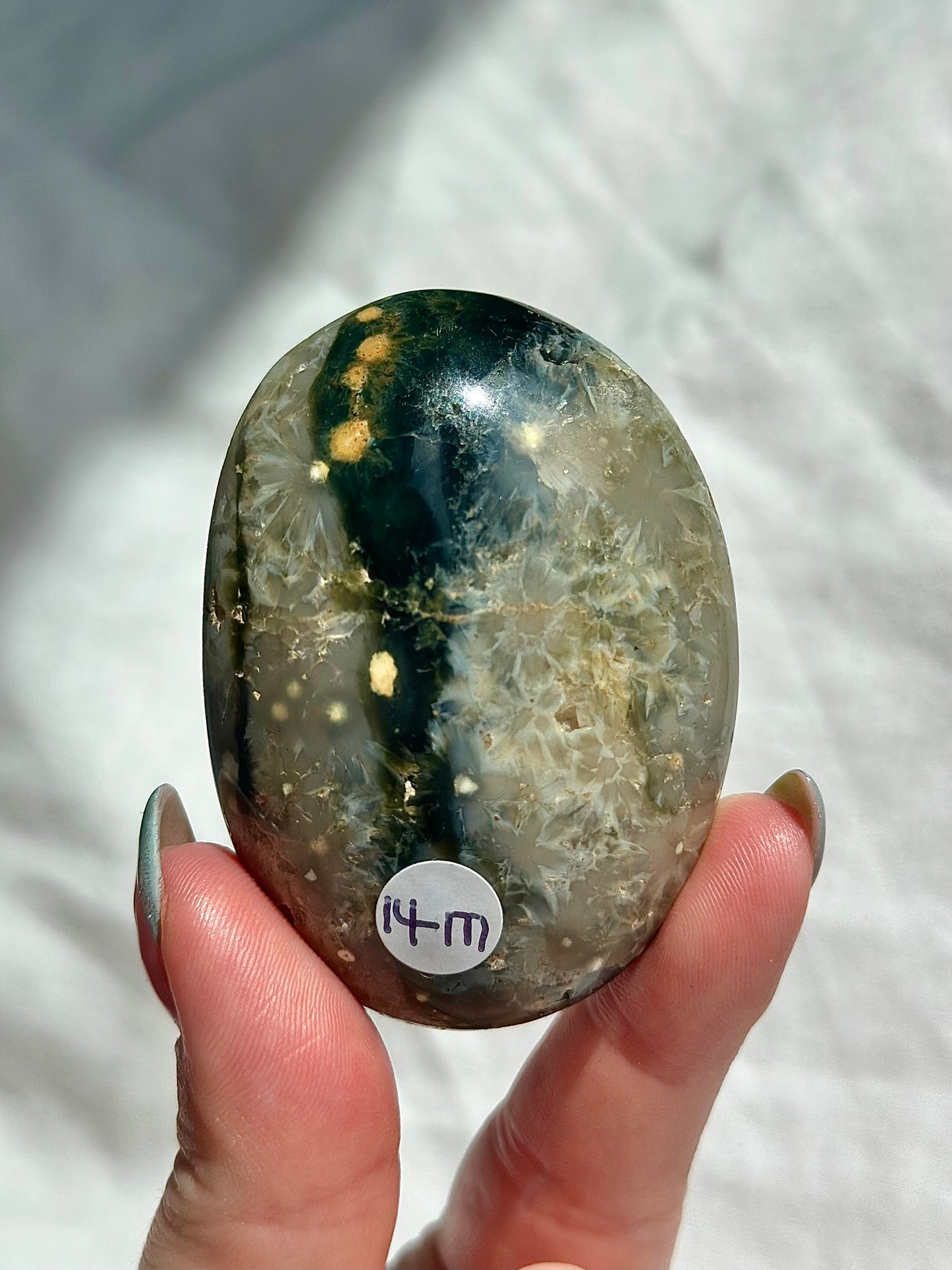 Ocean Jasper Palm