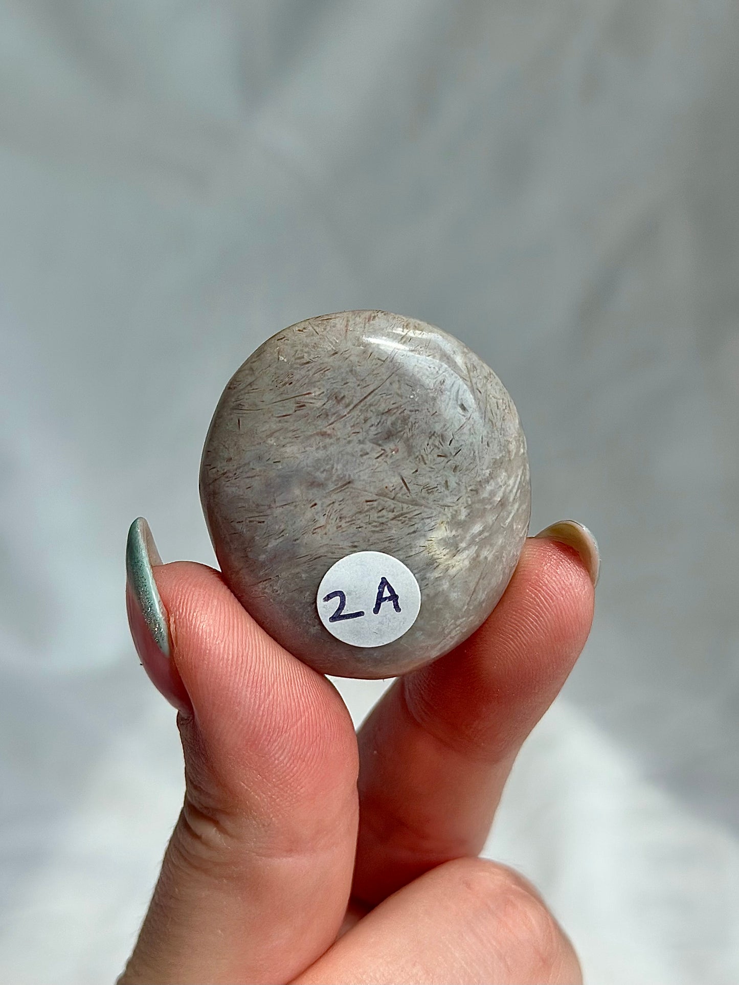 Ocean Jasper Palm