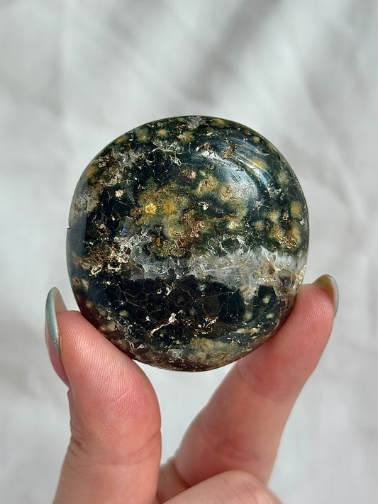 Ocean Jasper Palm