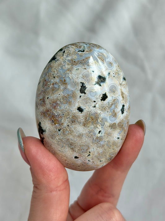 Ocean Jasper Palm