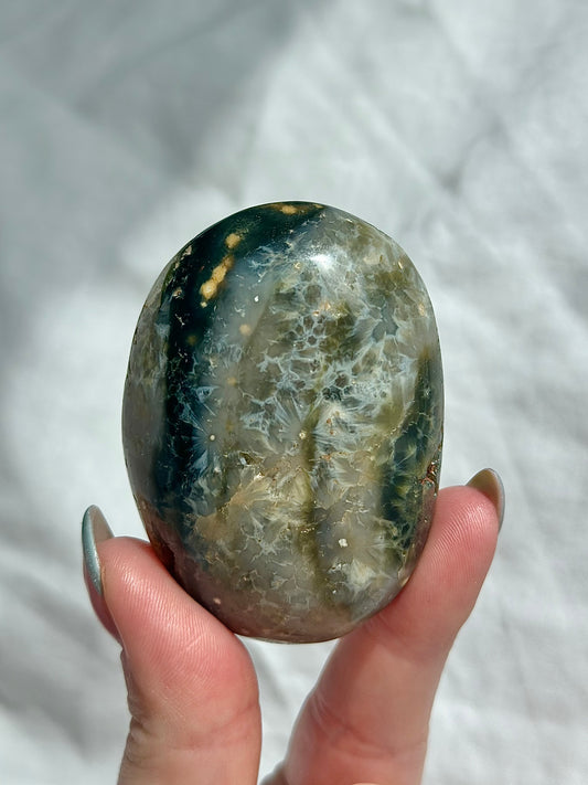 Ocean Jasper Palm