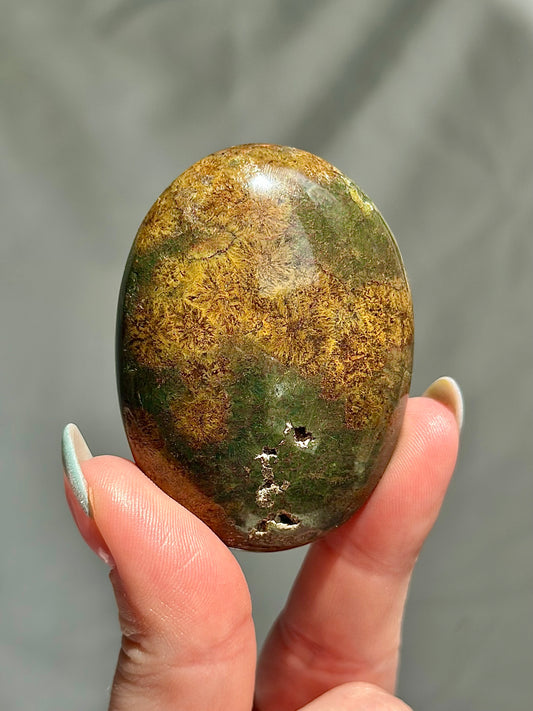 Ocean Jasper Palm